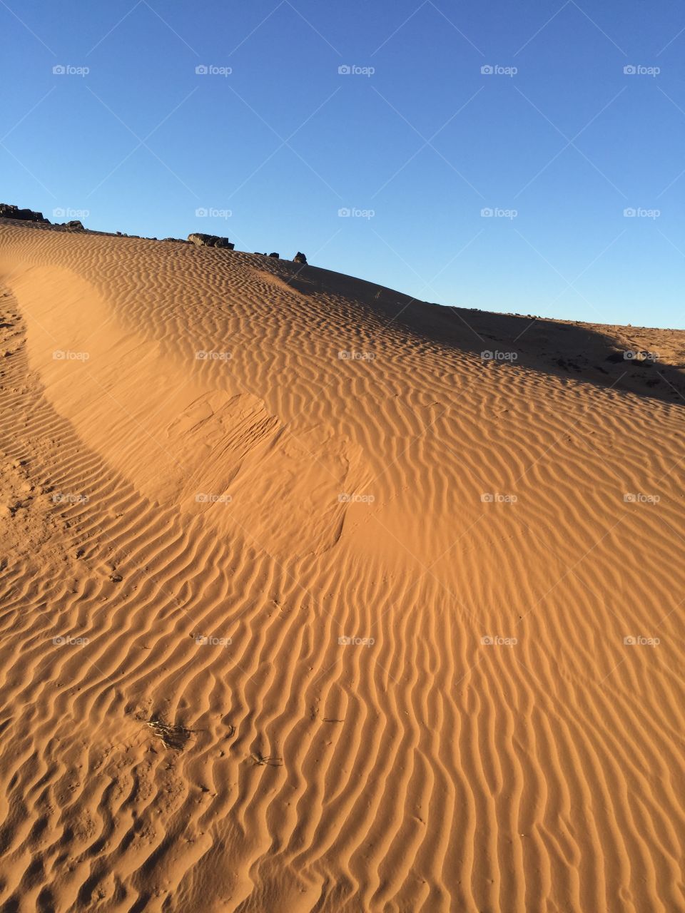 Morocco Sahara saharien Moroccan 