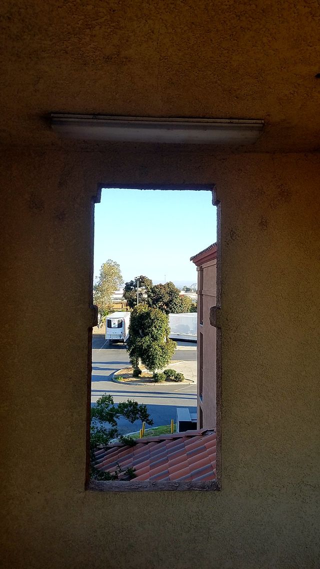 peek a boo