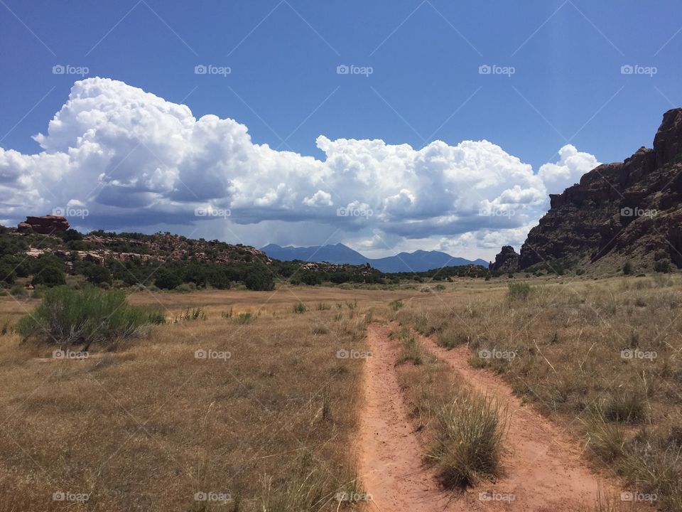 Hiking trail in Utah 