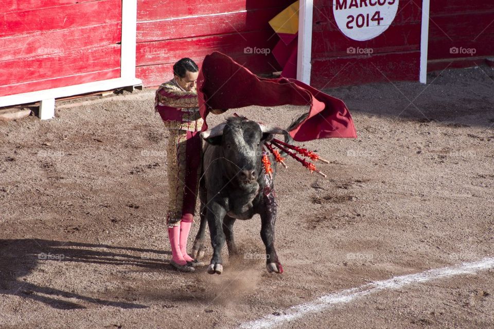 bullfighter