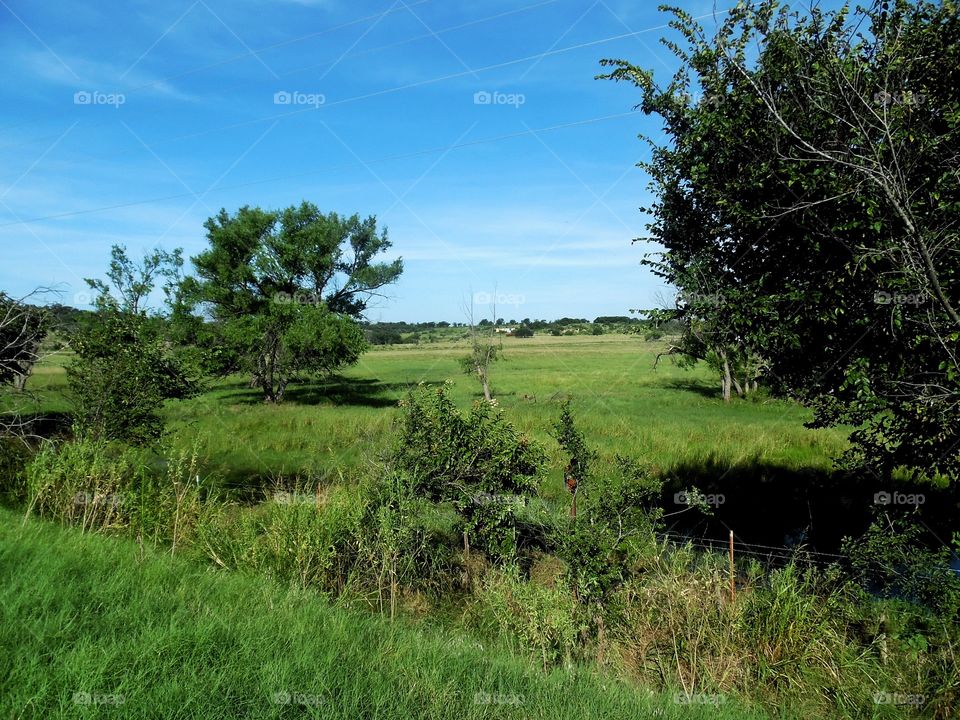 morning traveling. This was part of what I saw while out exploring this morning