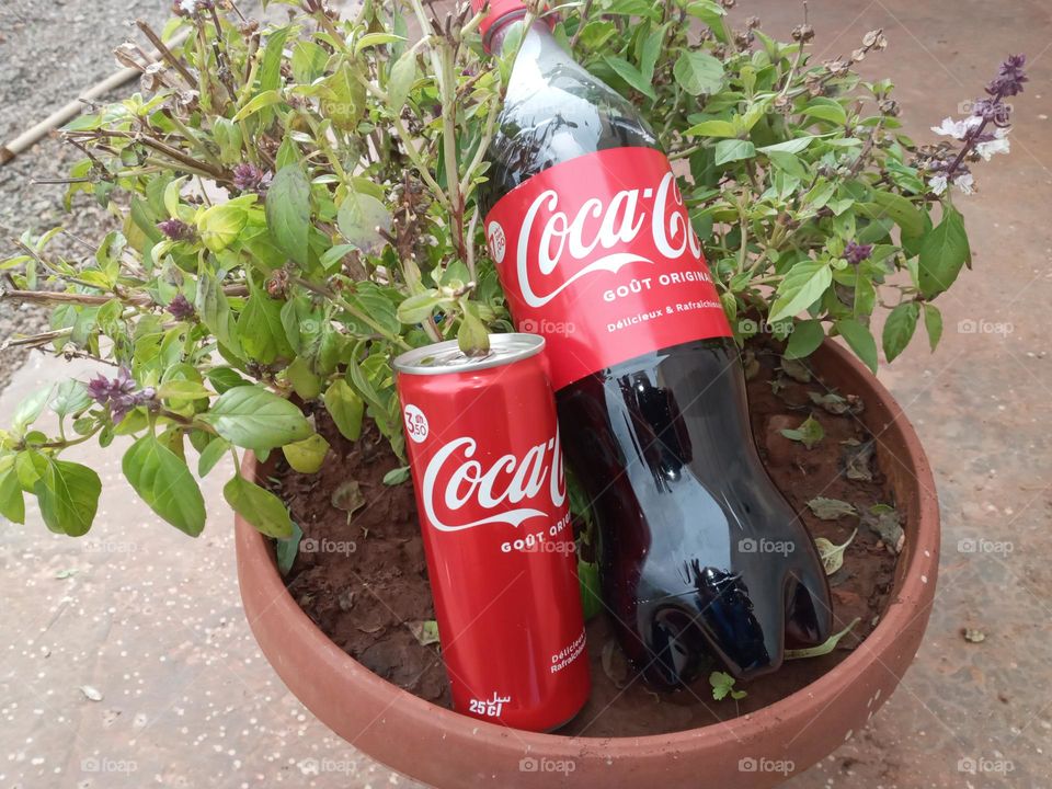 Bottle and can of coca cola