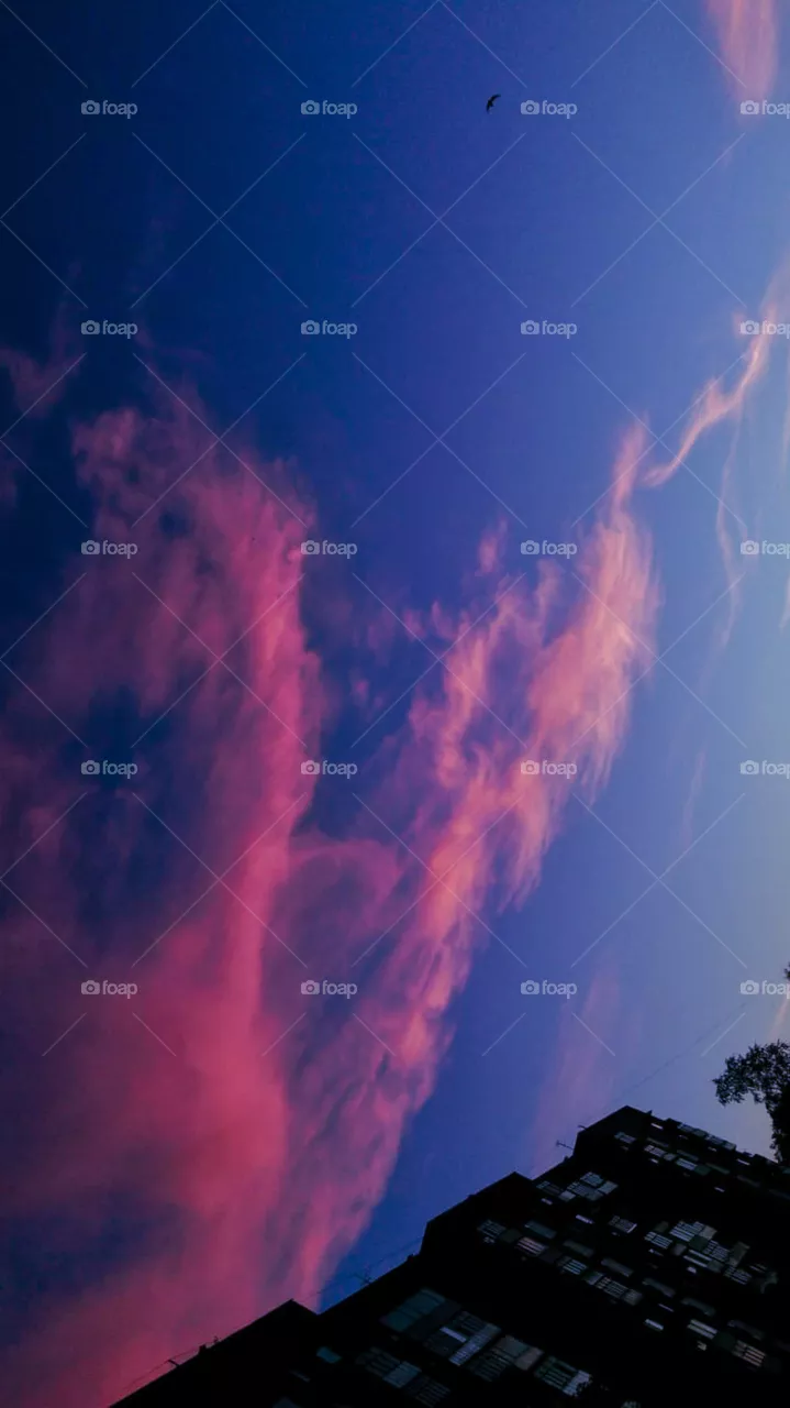 sky