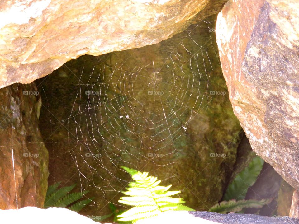 web in rocks