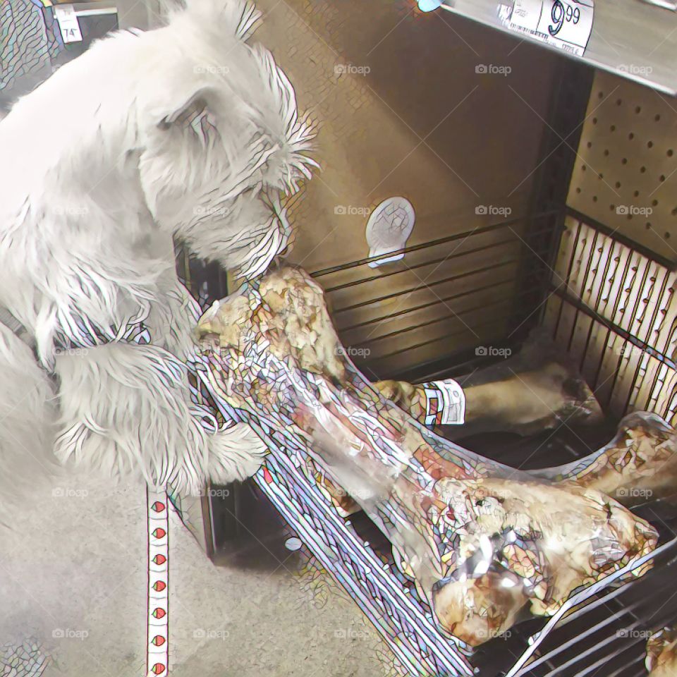 Mac picking his snack out