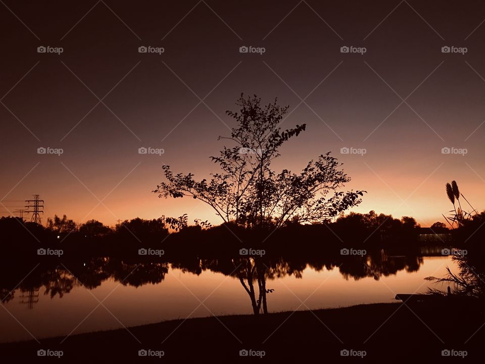 The Golden light of Night. Very fast Setting from lateness to Twilight to Night. This photo is the result of a fast changing climate.