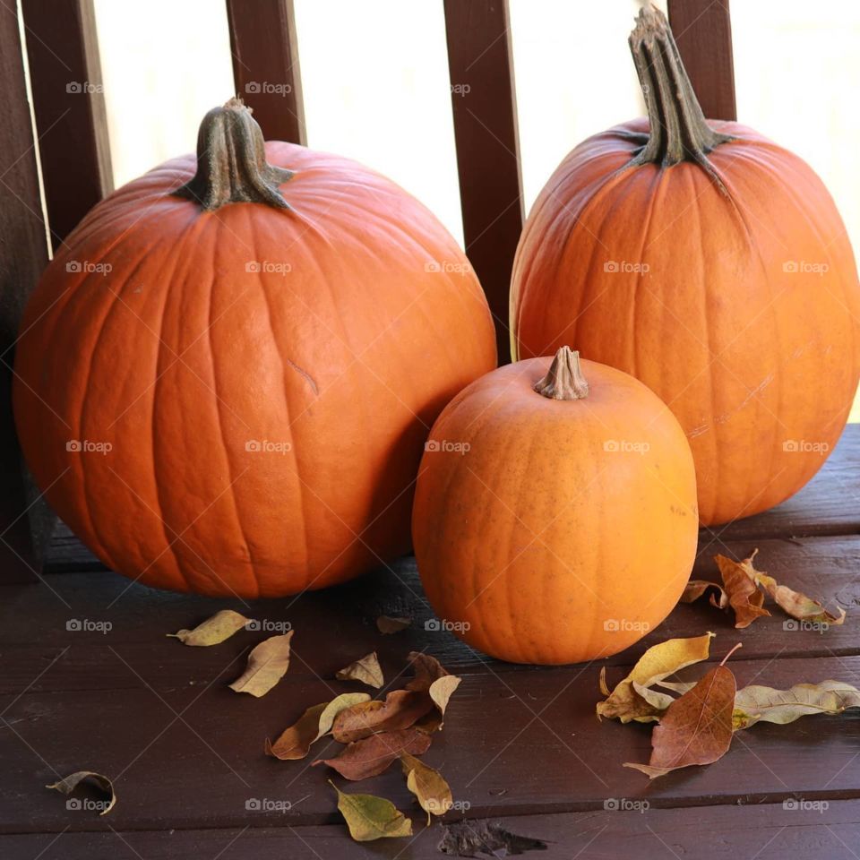 pumpkins on a deck