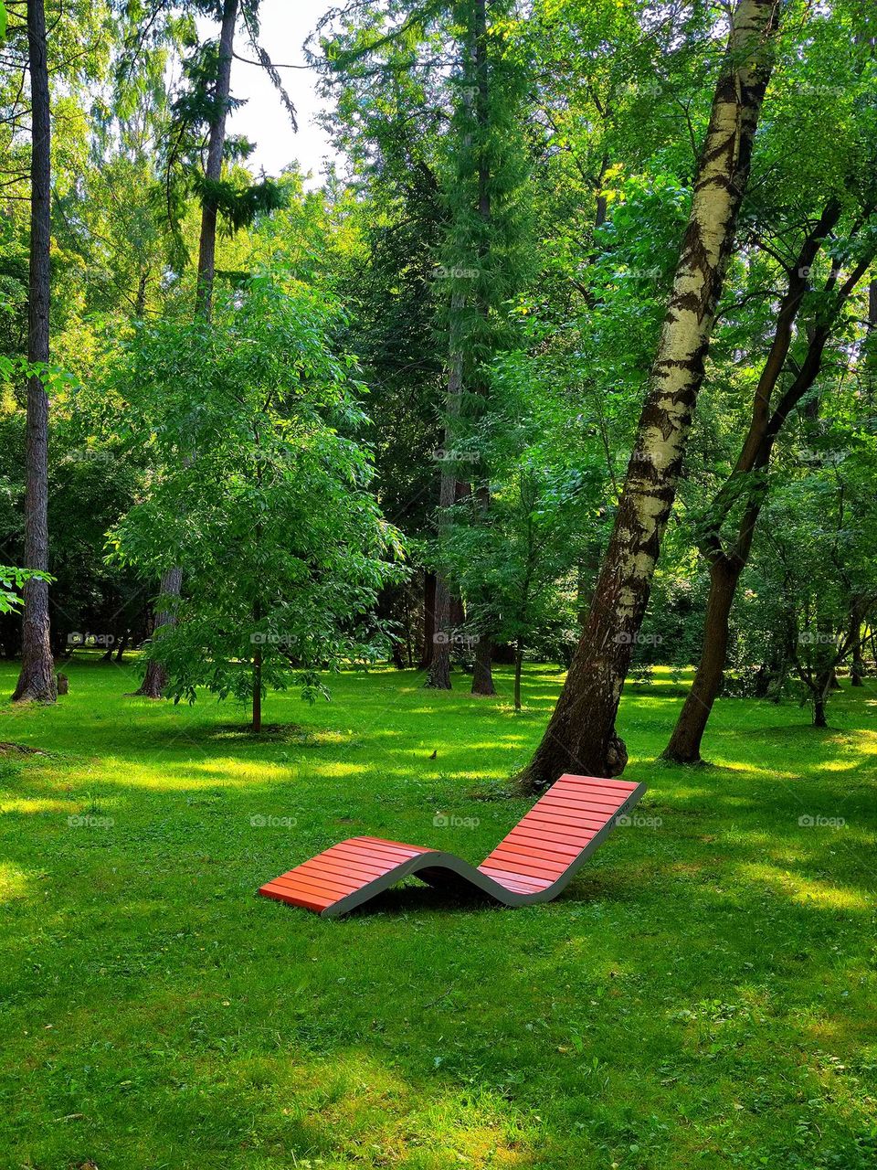Nature.  Plants.  On the green grass of the lawn, surrounded by green trees, there is a wooden bench for sunbathing.