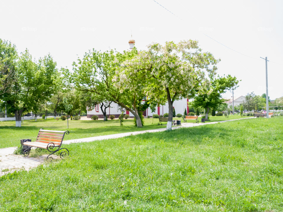 A park in the village. The temple is hidden behind trees. Sunny day.