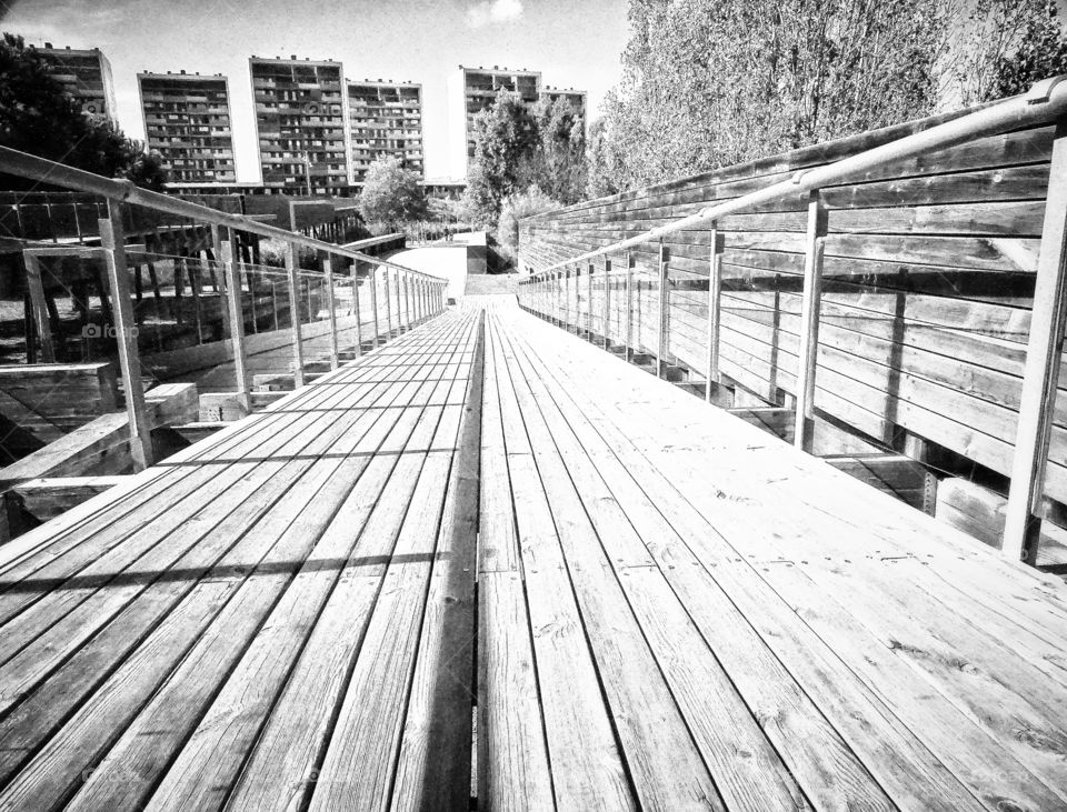 The beauty of black and white