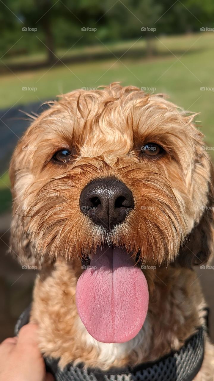 summertime sunshine face