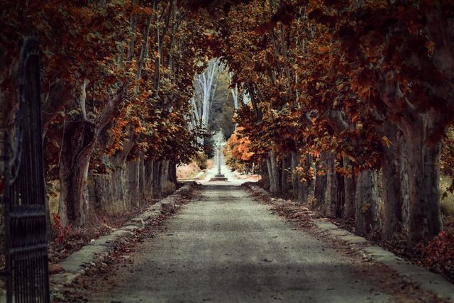 autumm