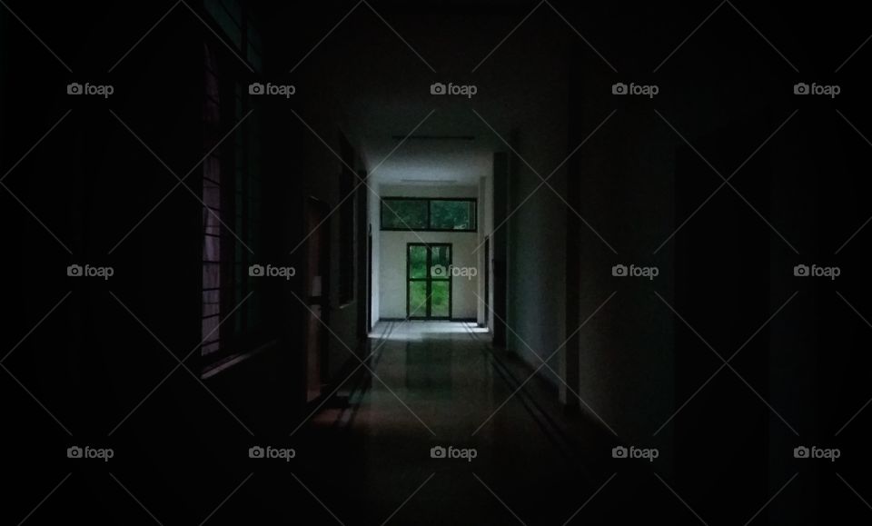 Pulled in by the charm of the green light.