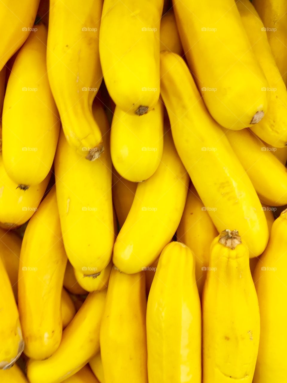 Yellow zucchini