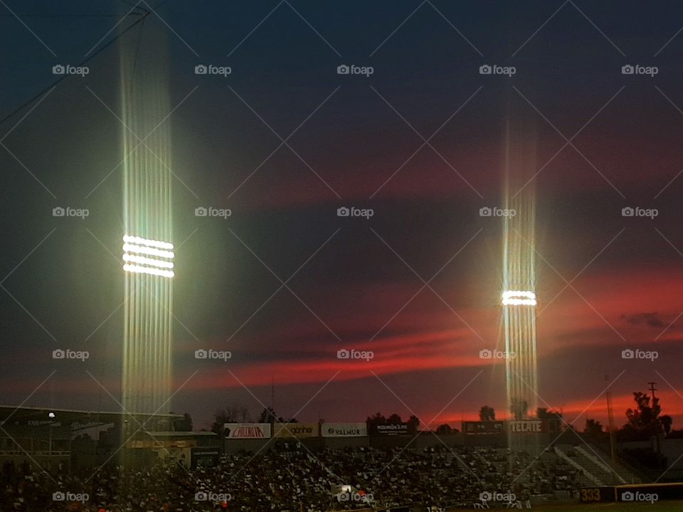 watching the baseball game