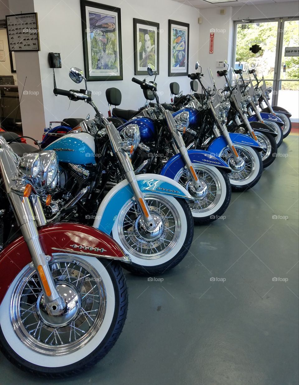 Harley Davidsons lined in a row.