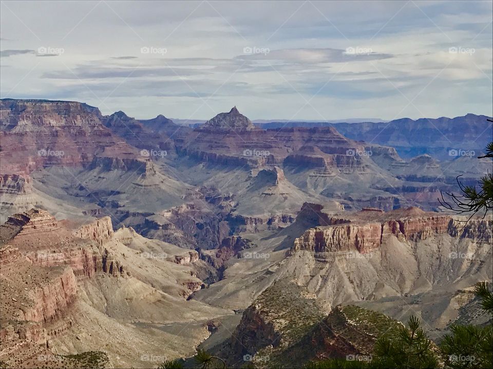 View of grand canyon national park