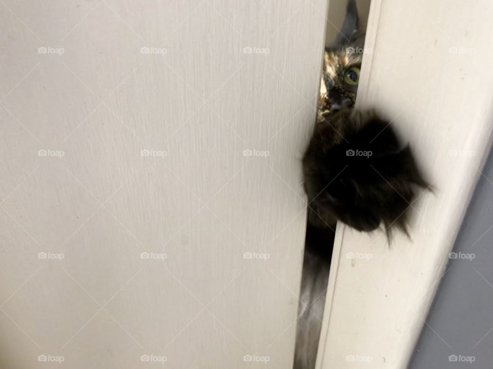 Help me, I’m being attacked....