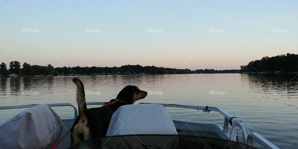 Cruising on the pontoon