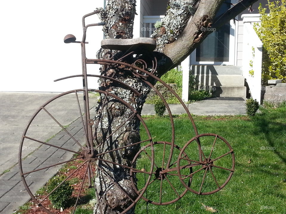 Antique Style . Shaped like an old style tricycle, this is a planter. 