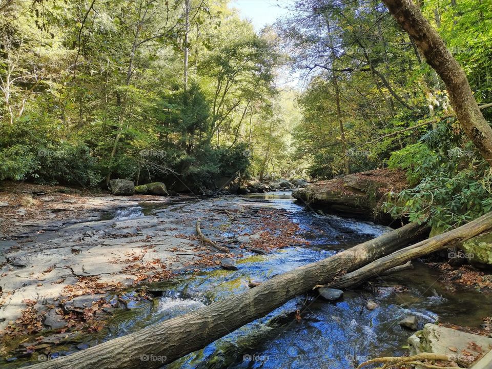 Ohiopyle PA