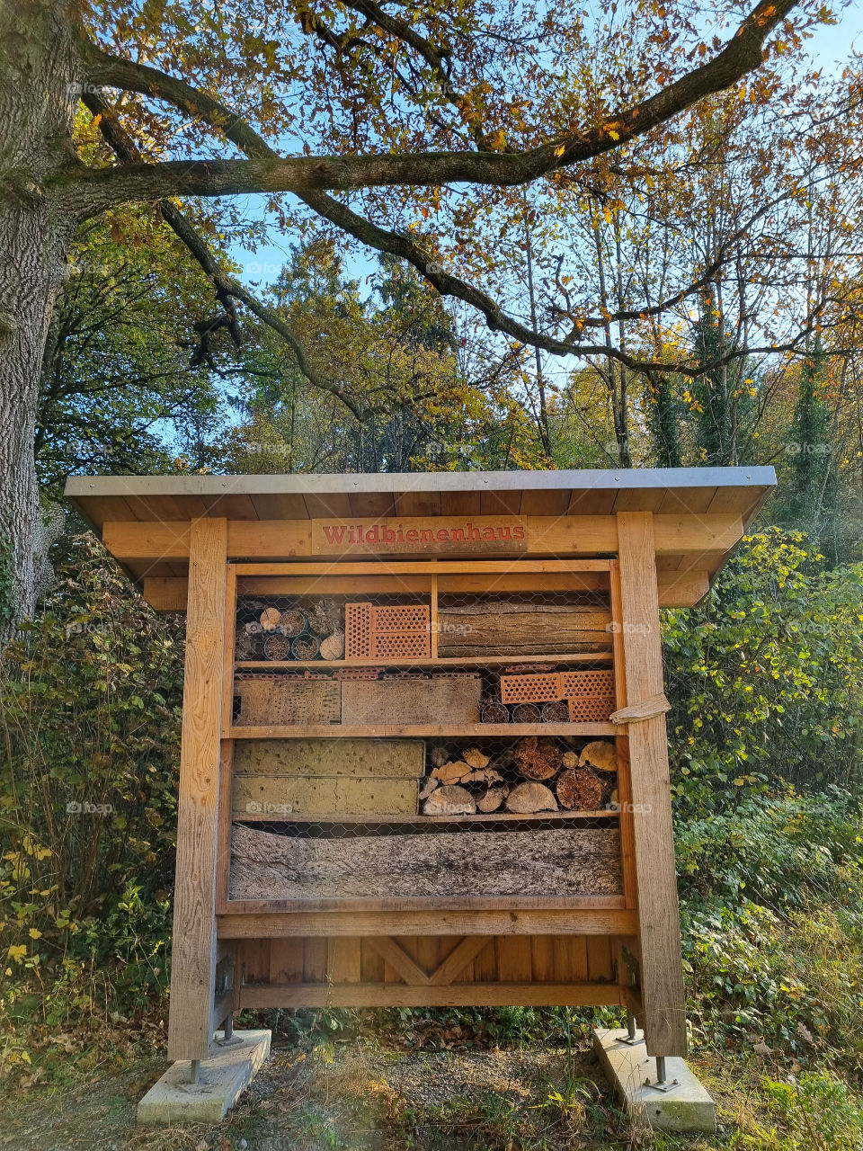 I was on a walk a few days ago and I saw there was a house for the wild bees made by someone. That made my smile because I love bees so so much and they deserve a good life.πππ I'm so happy that they take care of the bees here in germany.