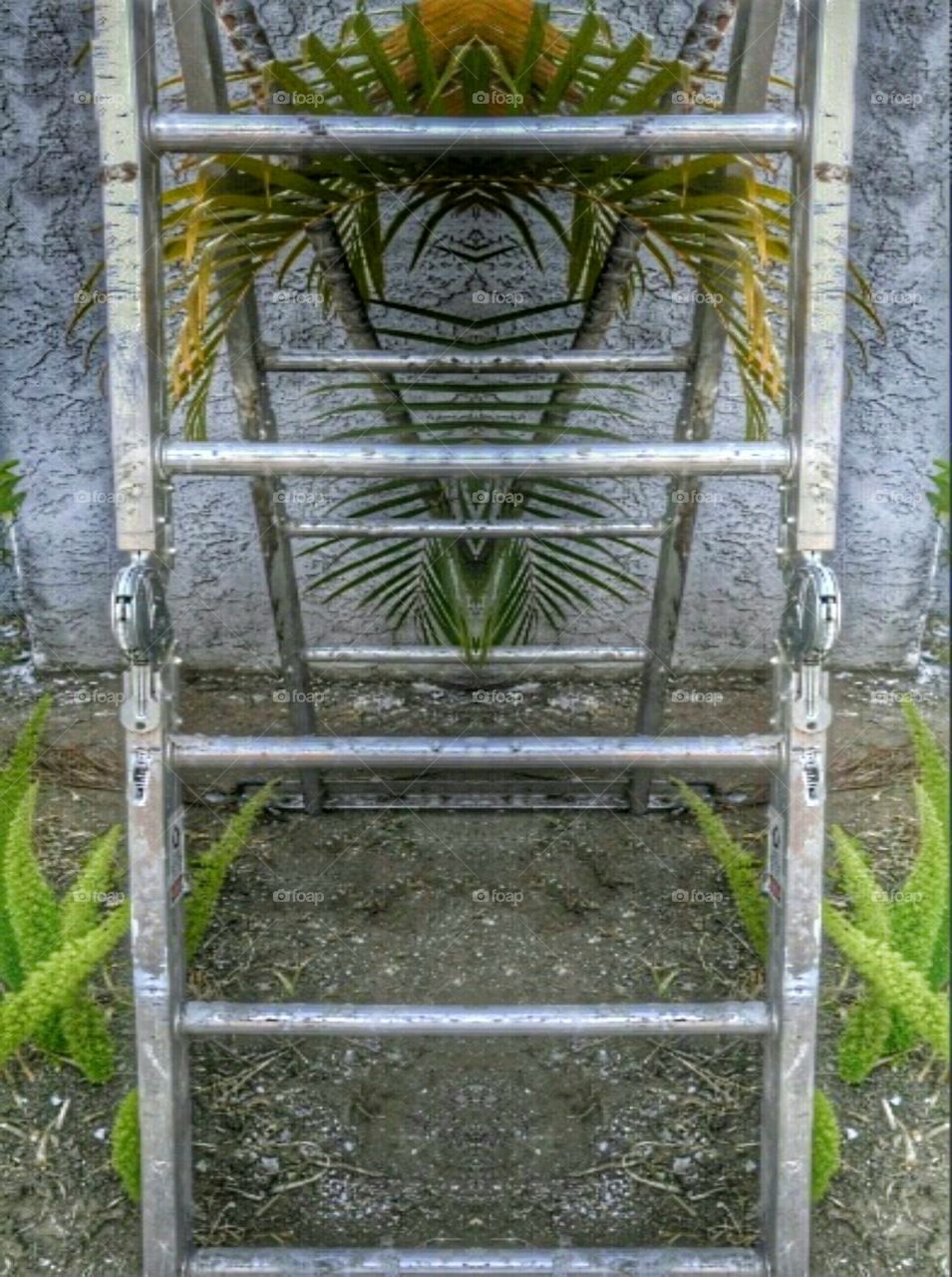 Ladder Against a Wall