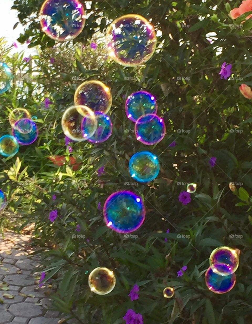 Bubble mania