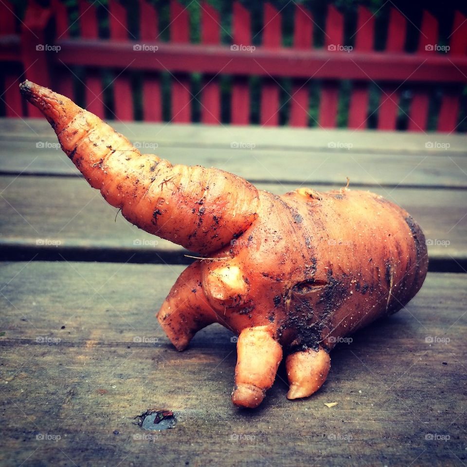 Crazy shaped carrot