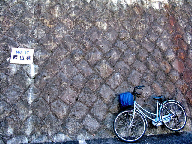 bicycle travel summer bike by javidog