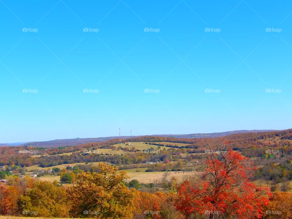 Fall Scenes