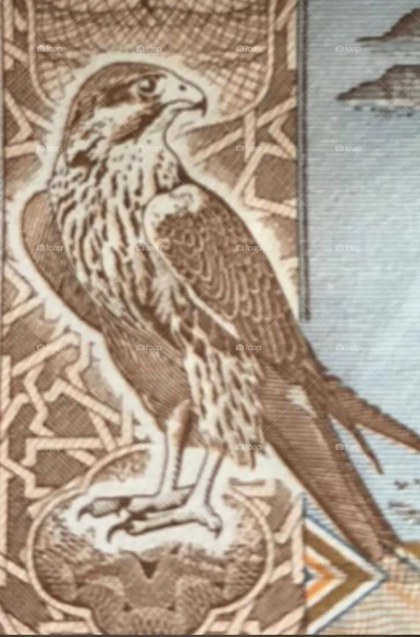 Falcon high