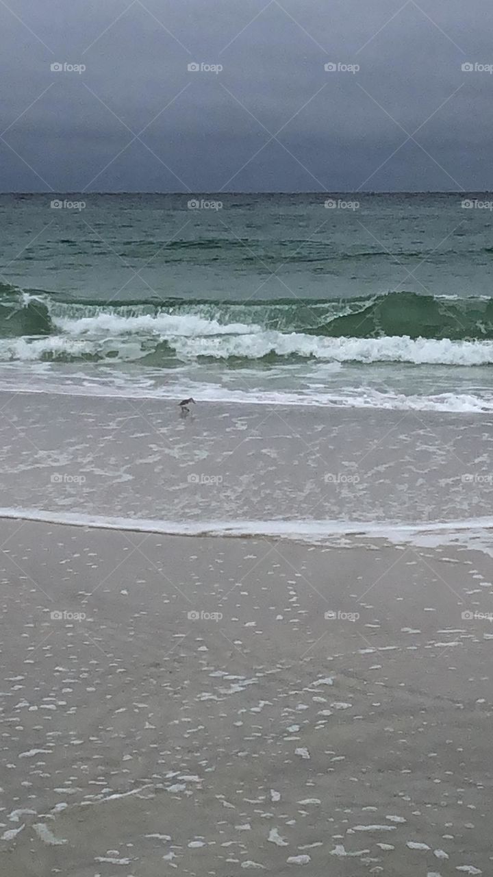 Watching the tide roll in