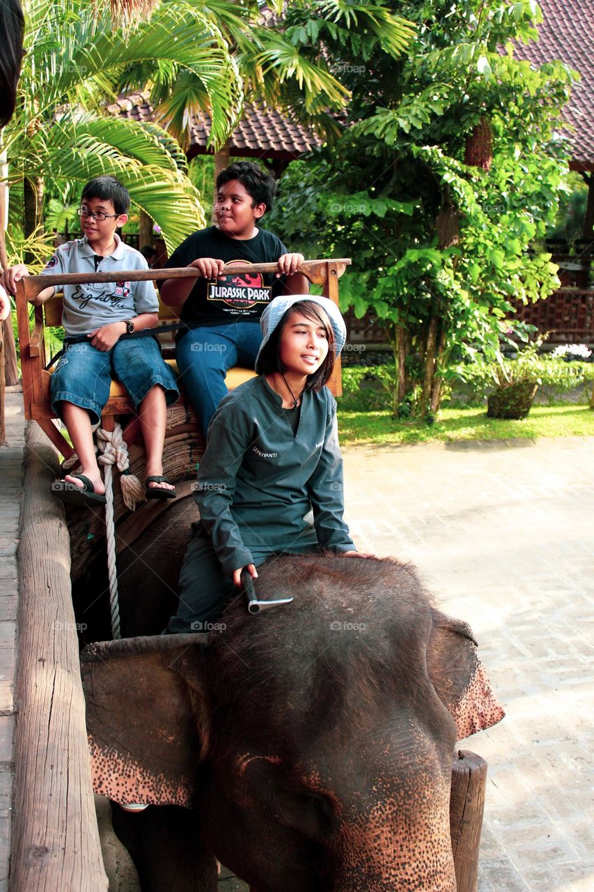 The girl who conquered the elephant. Tourist group of children riding an elephant at the bali zoo, elephant body seats for visitors on a safari to the bali zoo being ridden by a teenager.