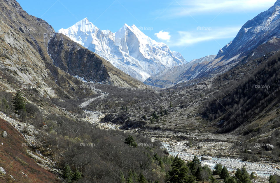 Gangotri National Park