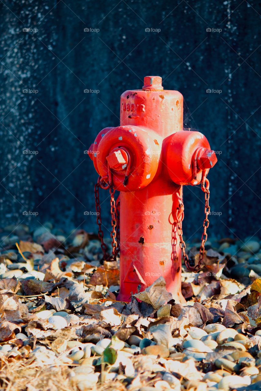 Fire hydrant by the marina in Portugal 