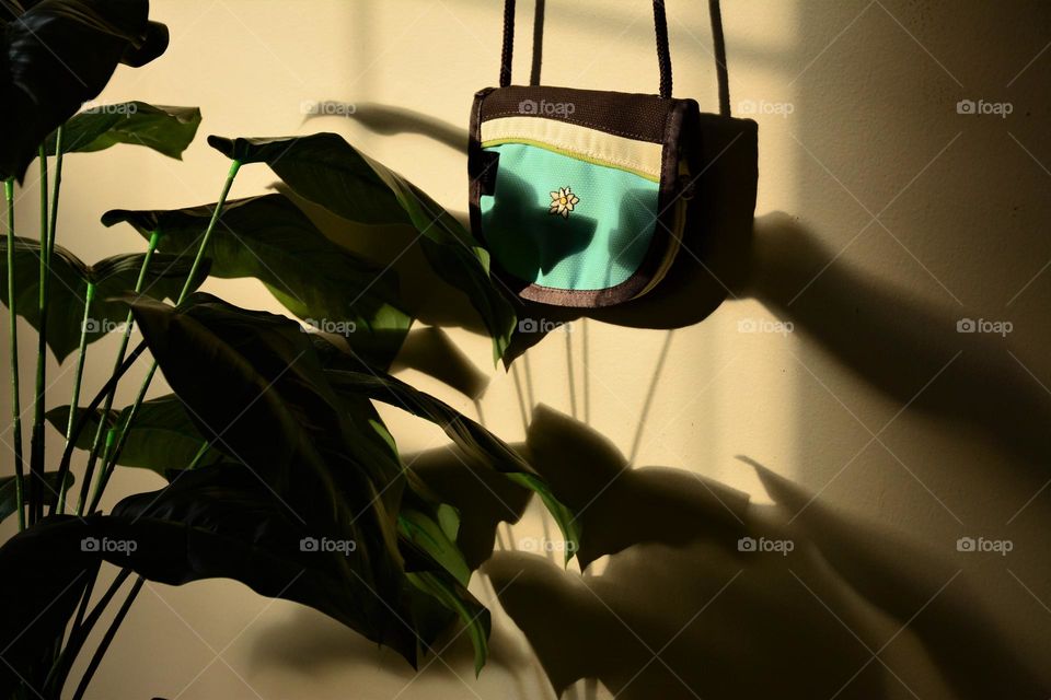 Purse Shadows