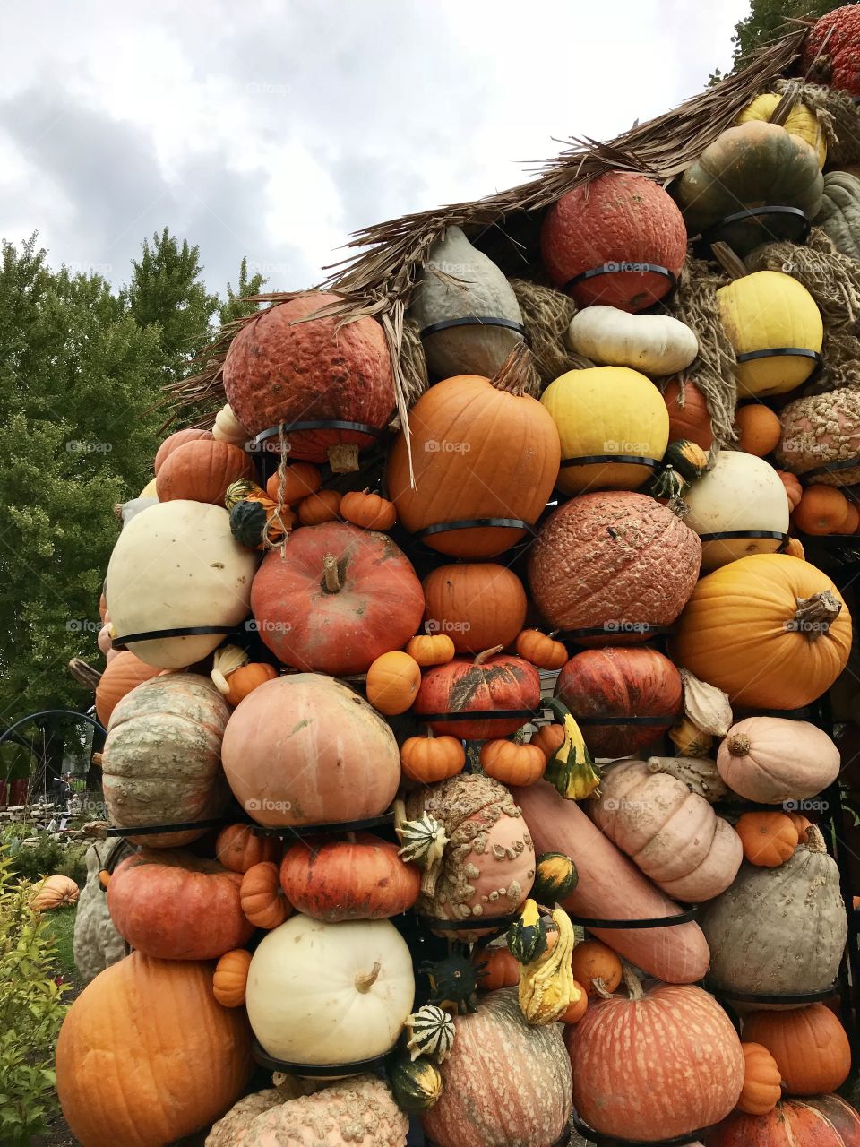 Pumpkin sculpture 