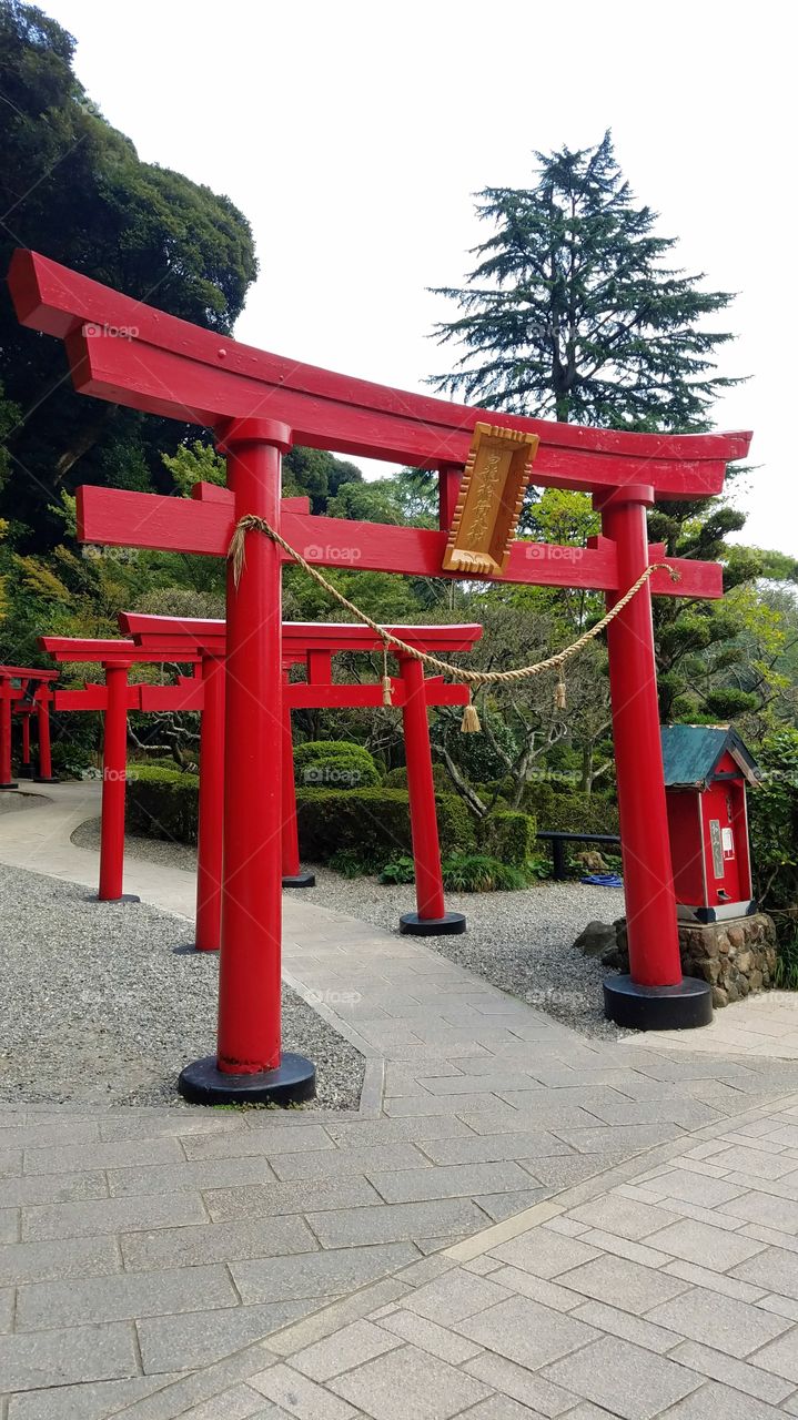 Red torii gates, Japan