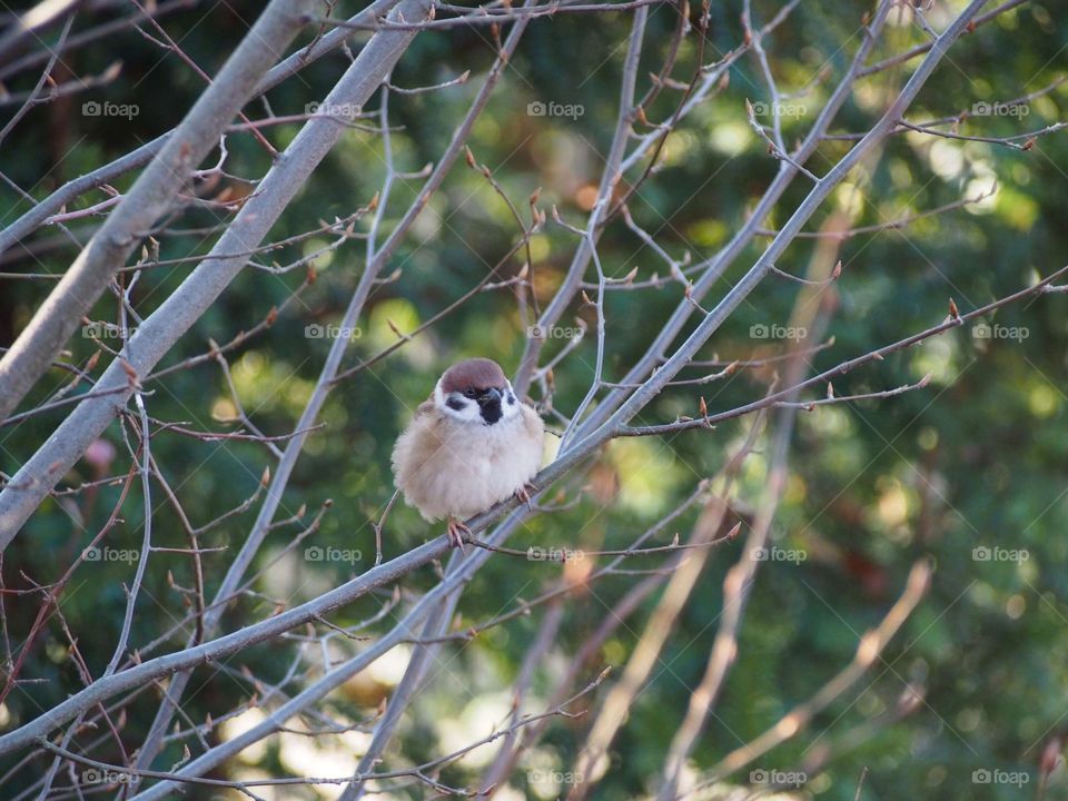 friend for 2 minutes