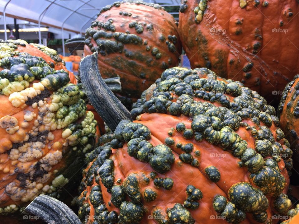Bumpy pumpkins