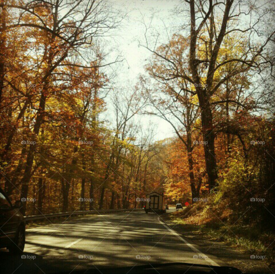 Drive into Fall
