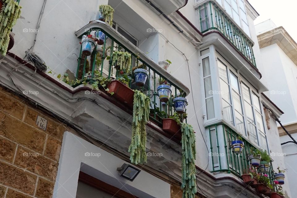 Balcony garden in Cádiz, Spain 