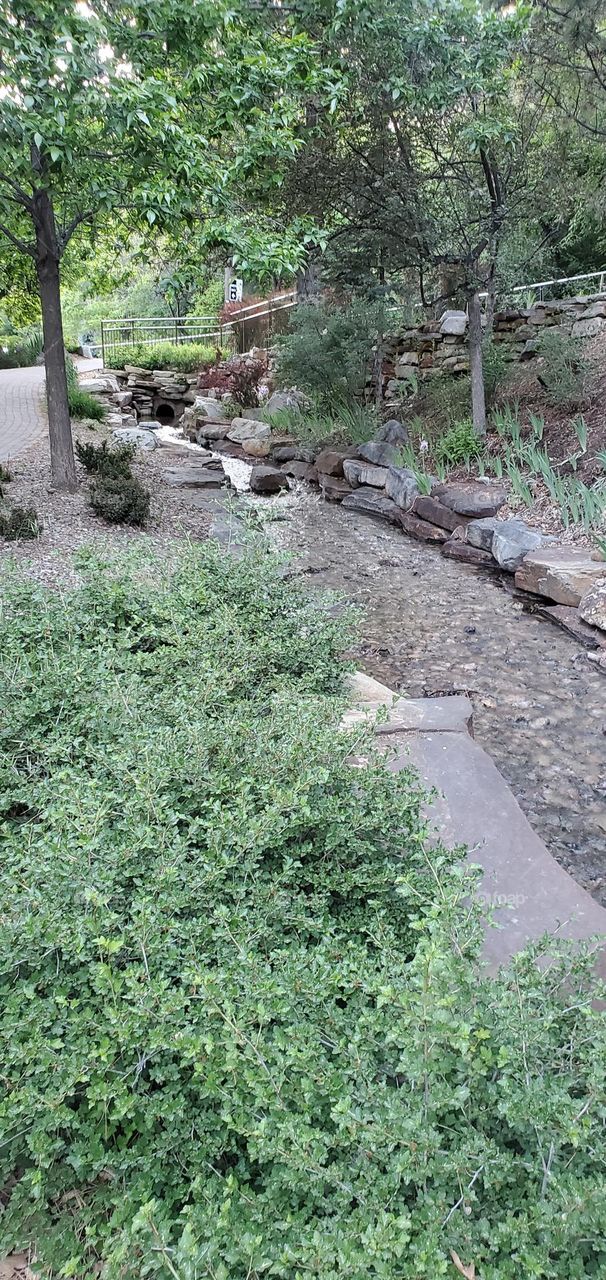 A pathway along the stream