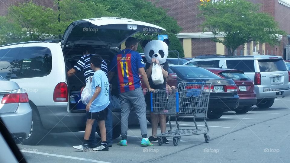 Panda Bear Caught helping out in Walmart parking lot