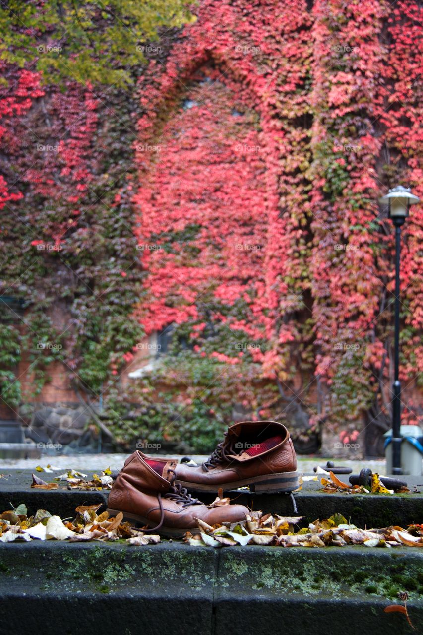 Boots and autumn background