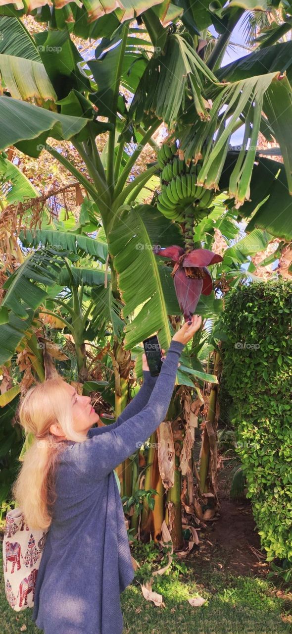 sell your first photo on the foap