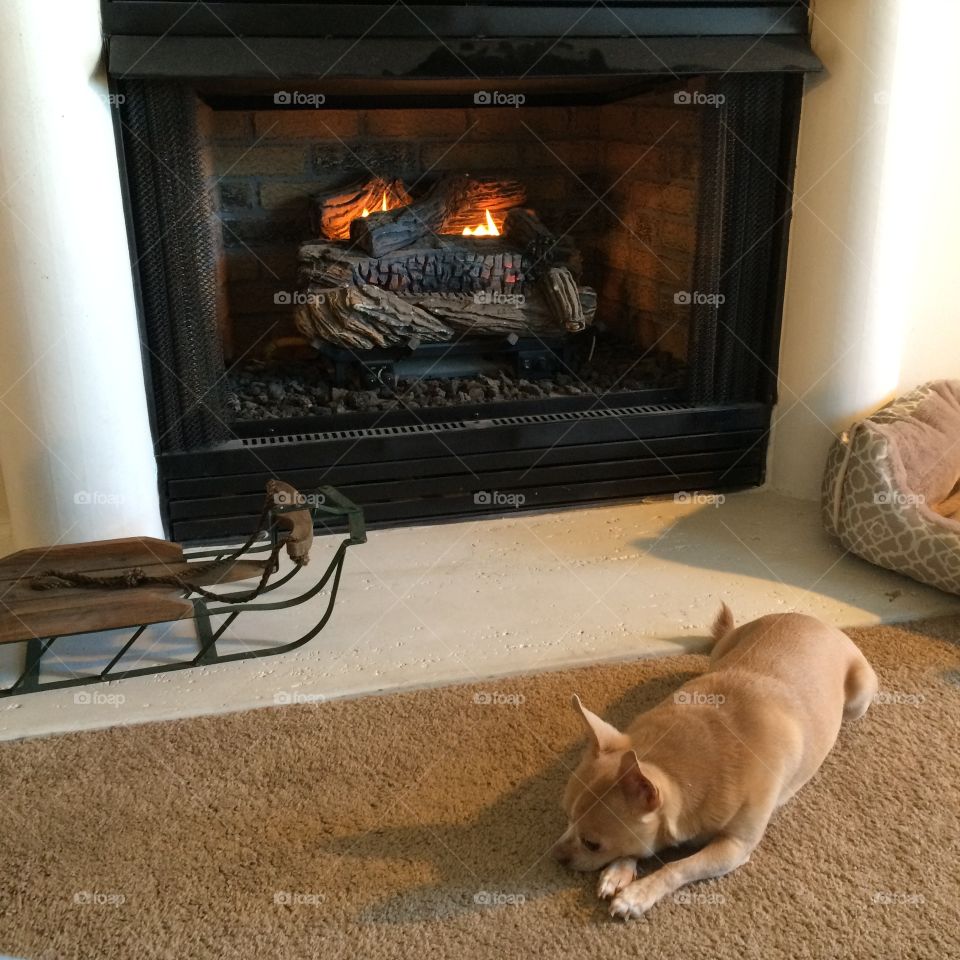 Warming up by the Fire