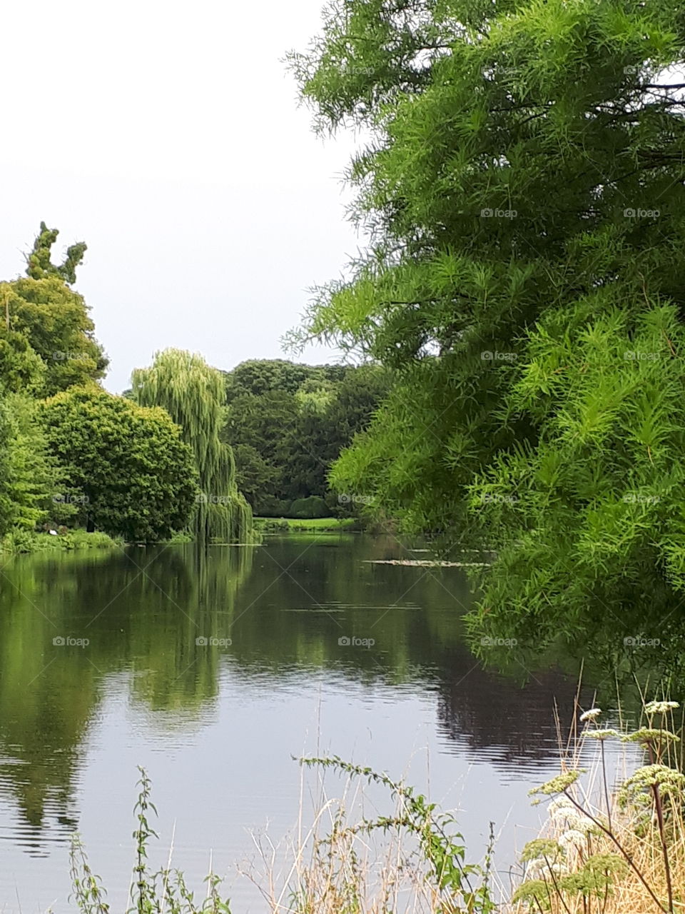 A Summer Lake