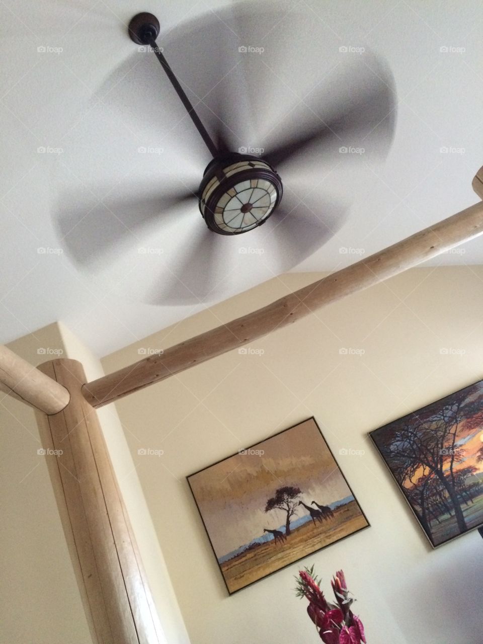 Ceiling fan 